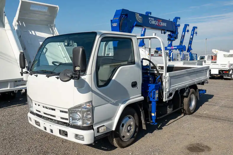 いすゞ エルフ 小型 クレーン付 4段 ラジコン の中古トラック【車両No.117899】