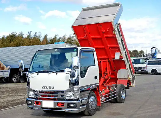 いすゞ エルフ 小型 ダンプ 強化 コボレーン の中古トラック【車両No.119142】