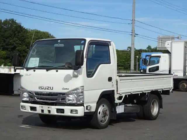 いすゞ エルフ 小型 平ボディ カスタム TPG-NKS85A の中古トラック【車両No.151939】