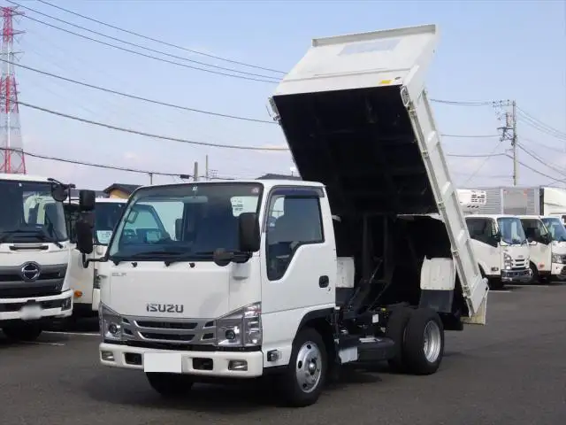 いすゞ エルフ 小型 ダンプ 2RG-NKR88AD R4 の中古トラック【車両No.161597】