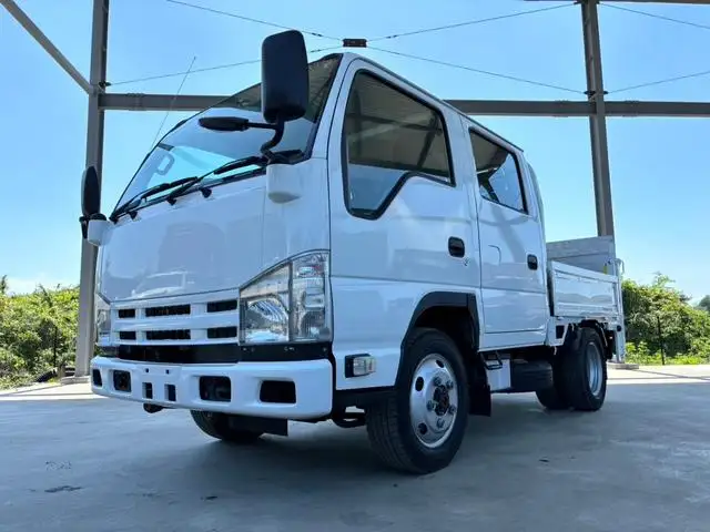 いすゞ エルフ 小型 平ボディ Wキャブ パワーゲート の中古トラック【車両No.166182】