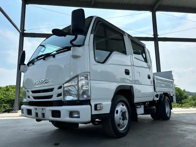 いすゞ エルフ 小型 平ボディ Wキャブ パワーゲート の中古トラック【車両No.169690】