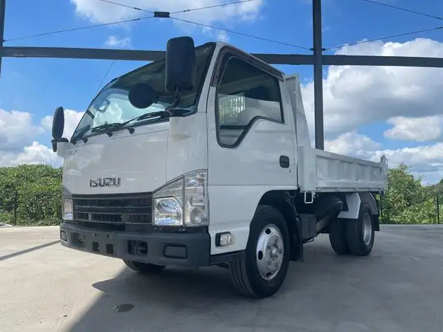 いすゞ エルフ 小型 ダンプ  H22 の中古トラック【車両No.171093】