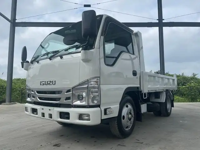 いすゞ エルフ 小型 ダンプ  R4 の中古トラック【車両No.171857】