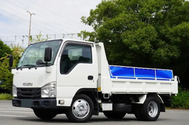 いすゞ エルフ 小型 ダンプ 強化 コボレーン の中古トラック【車両No.174730】