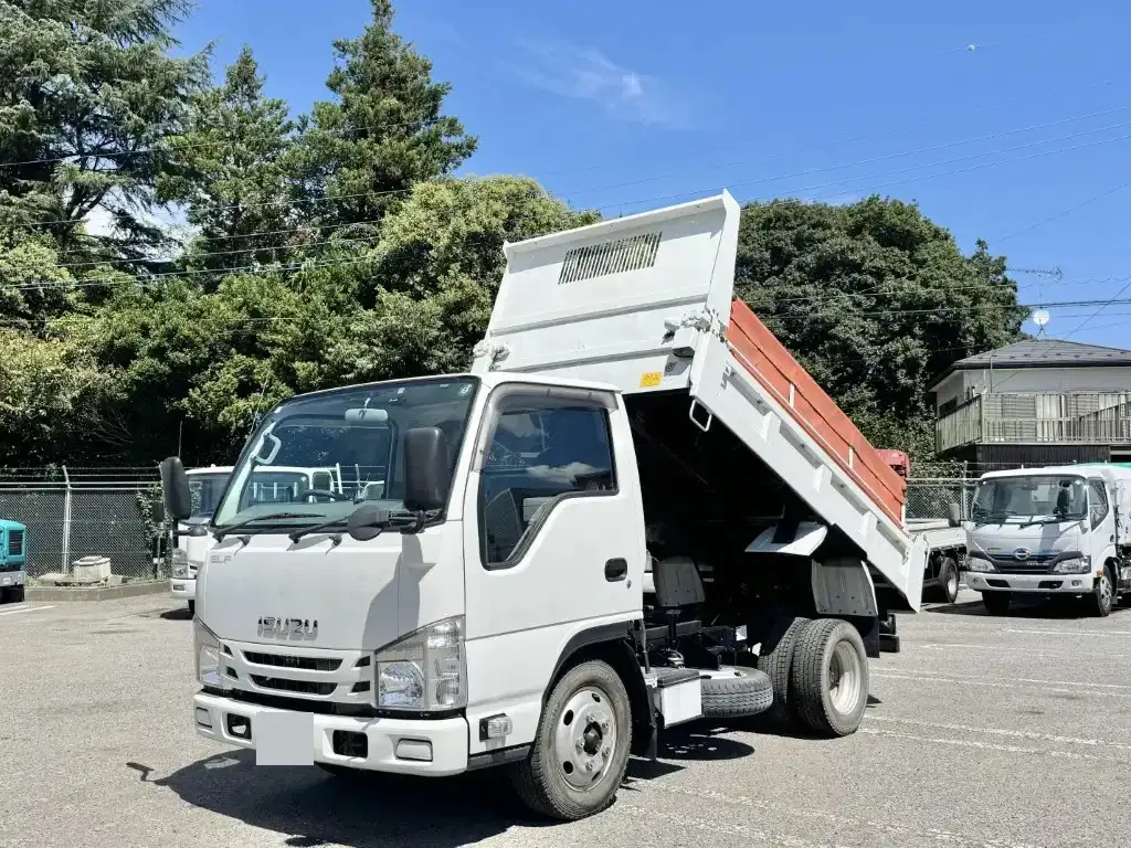 いすゞ エルフ 小型 ダンプ 強化 コボレーン の中古トラック【車両No.196136】