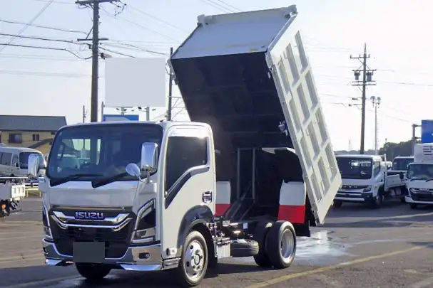 いすゞ エルフ 小型 ダンプ 土砂禁 天蓋付き の中古トラック【車両No.198382】