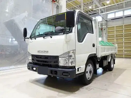 いすゞ エルフ 小型 ダンプ 強化 コボレーン の中古トラック【車両No.199119】
